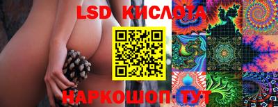 тгк Будённовск