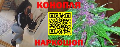 гашик Бузулук