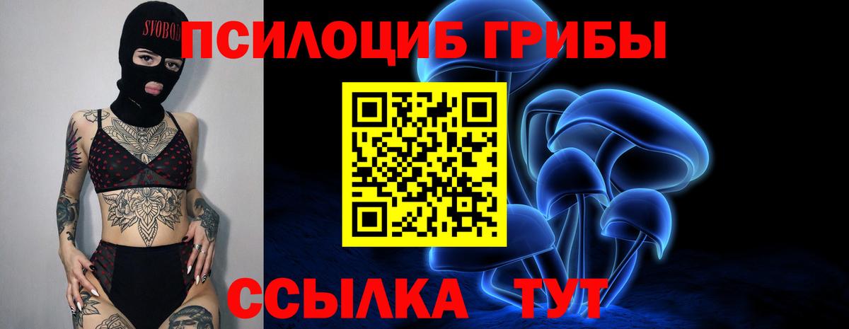 Псилоцибиновые грибы Magic Shrooms Красноармейск